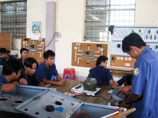 Improving vocational training for rural workers - ảnh 1